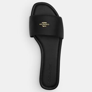 New Coach Black Slide Sandal